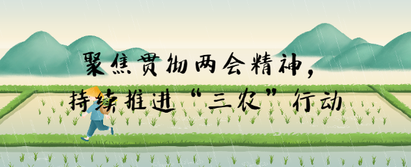 聚焦貫徹兩會(huì)精神，持續(xù)推進(jìn)“三農(nóng)”行動(dòng)