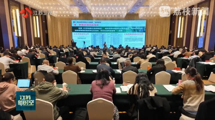 蒼穹數(shù)碼賦能顯成效，江蘇率先全面推進(jìn)用地用林合并審批獲全國推廣